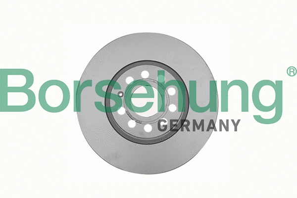 Disque de frein Borsehung B11378