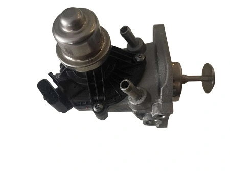 Vanne EGR PIM 40730020