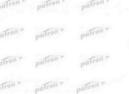 Pompe hydraulique, direction PATRON PPS710