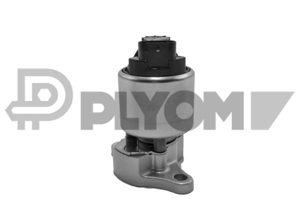 Vanne EGR PLYOM P770103