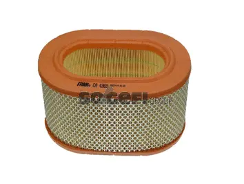 Filtre à air FRAM CA4369