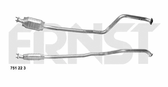 Catalyseur ERNST 751223