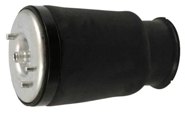 Ressort pneumatique, châssis FERRON TOP35340007