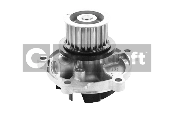Pompe à eau, refroidissement du moteur Omnicraft 2317362