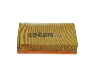 Filtre à air FRAM CA5613