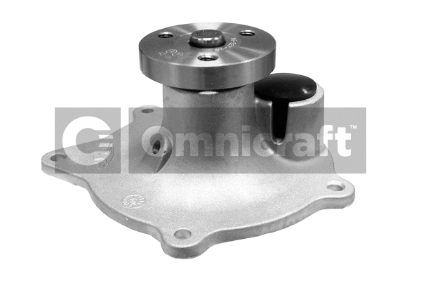 Pompe à eau, refroidissement du moteur Omnicraft 2317432