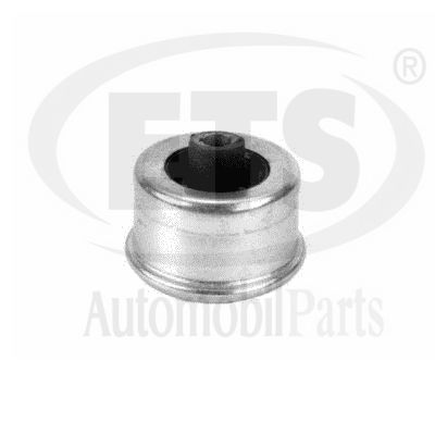 Suspension, bras de liaison ETS 34.SB.203