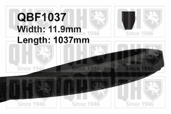 Courroie trapézoïdale QUINTON HAZELL QBF1037