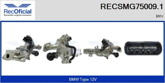 Module-EGR RECOFICIAL RECSMG75009.1