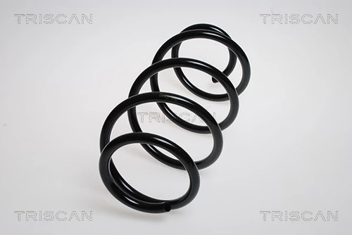 Ressort de suspension TRISCAN 8750 25103