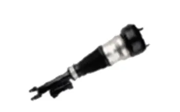 Armortisseur pneumatique MAXTRAC 501120040R