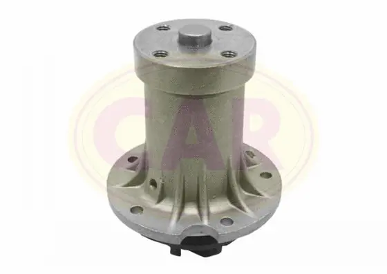 Pompe à eau, refroidissement du moteur CAR 330331