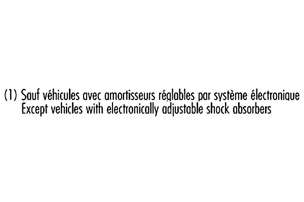 Amortisseur RECORD FRANCE 104157