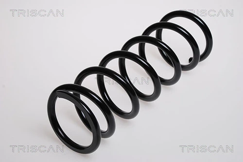 Ressort de suspension TRISCAN 8750 13158