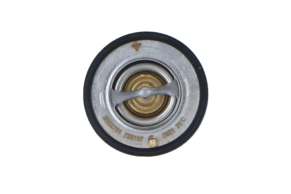 Thermostat, liquide de refroidissement WILMINK GROUP WG2184727