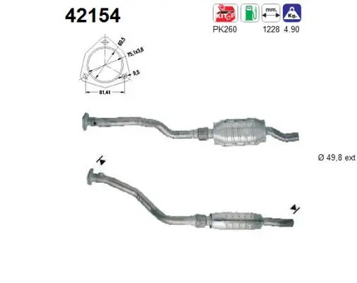 Catalyseur AS 42154