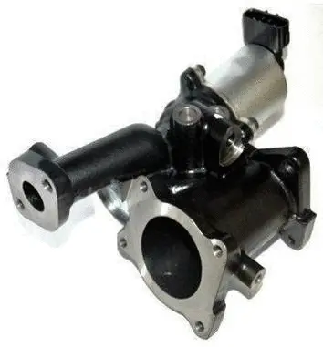 Vanne EGR ASSO 70.0163