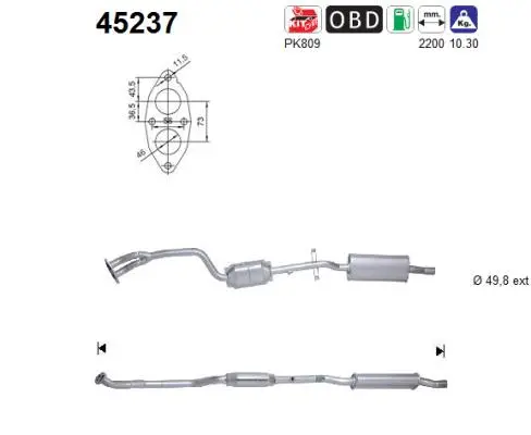 Catalyseur AS 45237