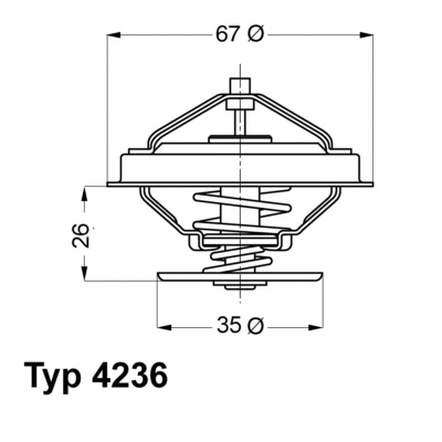 Thermostat, liquide de refroidissement BorgWarner (Wahler) 4236.92D