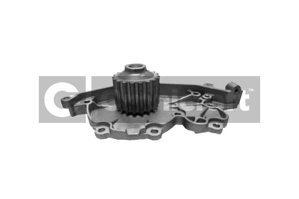 Pompe à eau, refroidissement du moteur Omnicraft 2317218