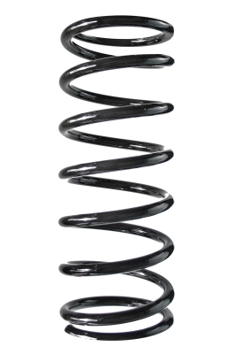 Ressort de suspension SPIDAN 56231