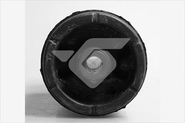 Suspension, corps de l'essieu HUTCHINSON 590245