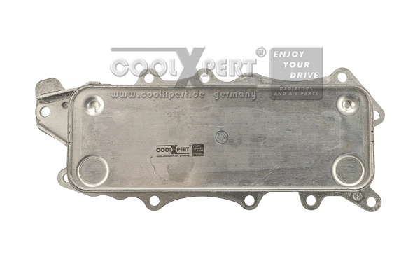Radiateur d'huile BBR Automotive 001-10-19298