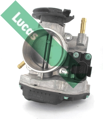 Corps papillon LUCAS LTH439