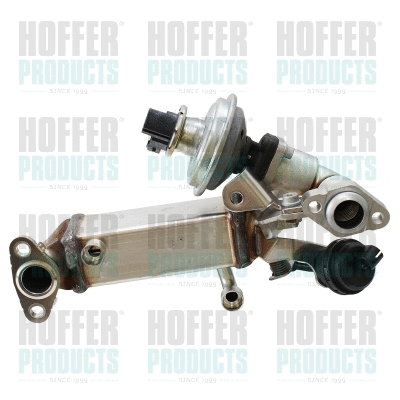 Module-EGR HOFFER 7518775