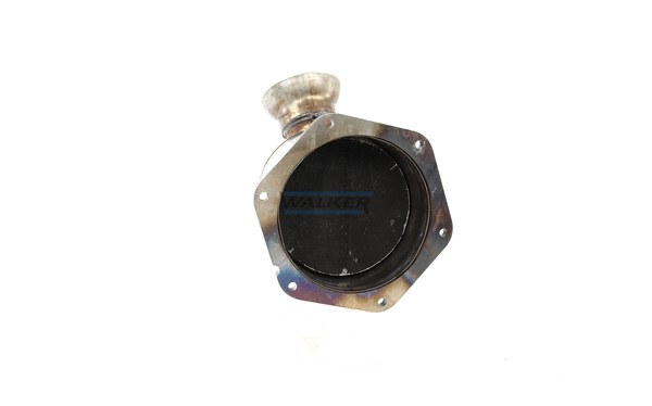 Catalyseur WALKER 28174