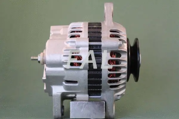 Alternateur FAL Anlasser- und Lichtmaschinenservice F000606/1