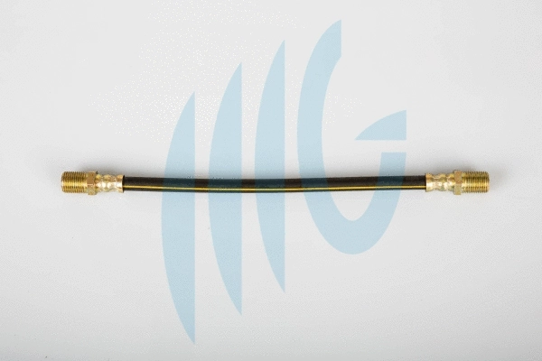 Flexible de frein RICAMBIFLEX GM 02520945
