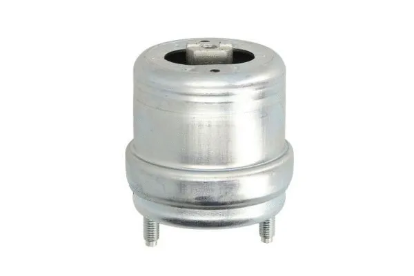 Support moteur REINHOCH RH11-0054