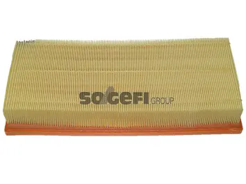 Filtre à air FRAM CA10236