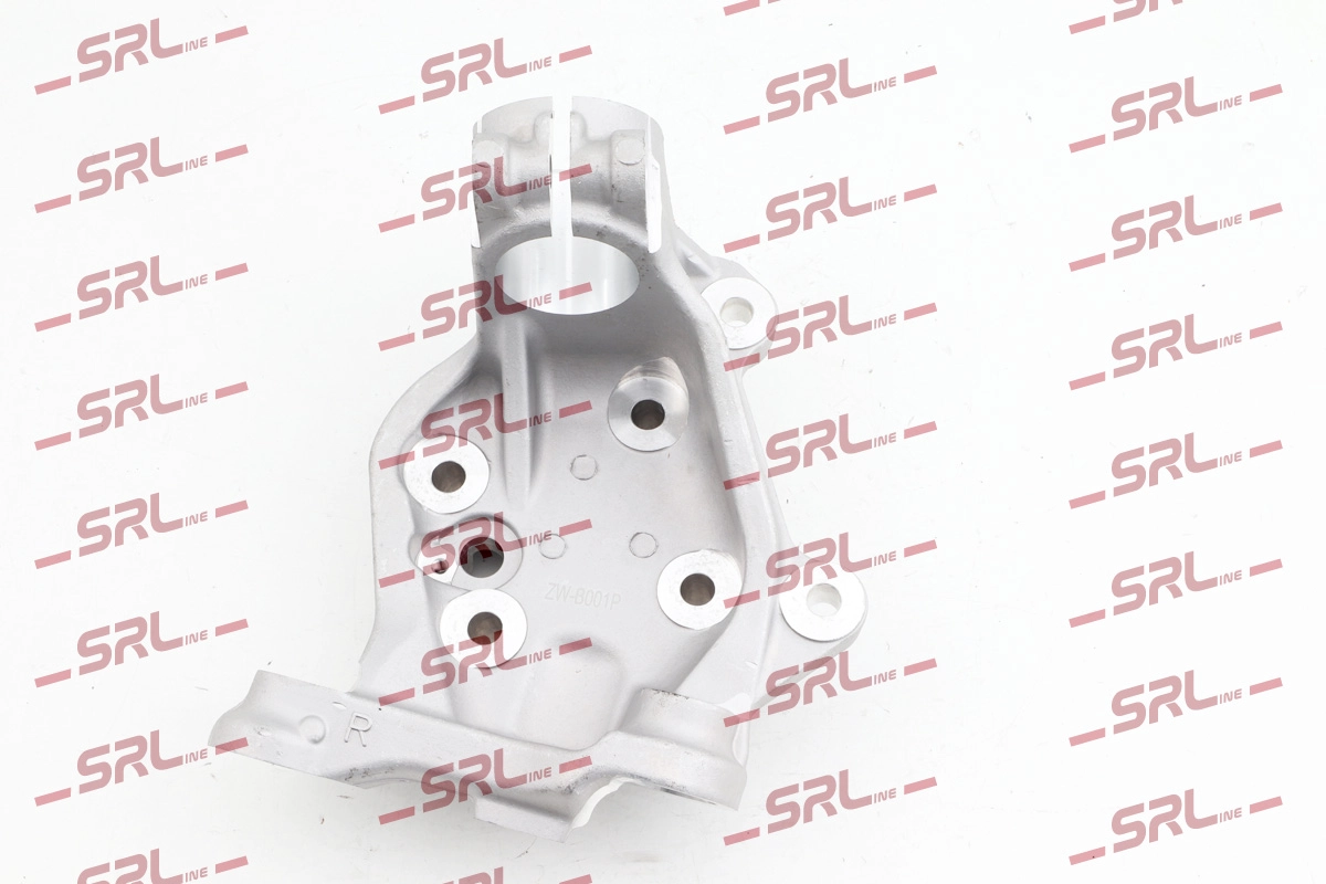 Fusée d'essieu, suspension de roue SRLine ZW-B001P