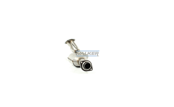 Catalyseur WALKER 28110