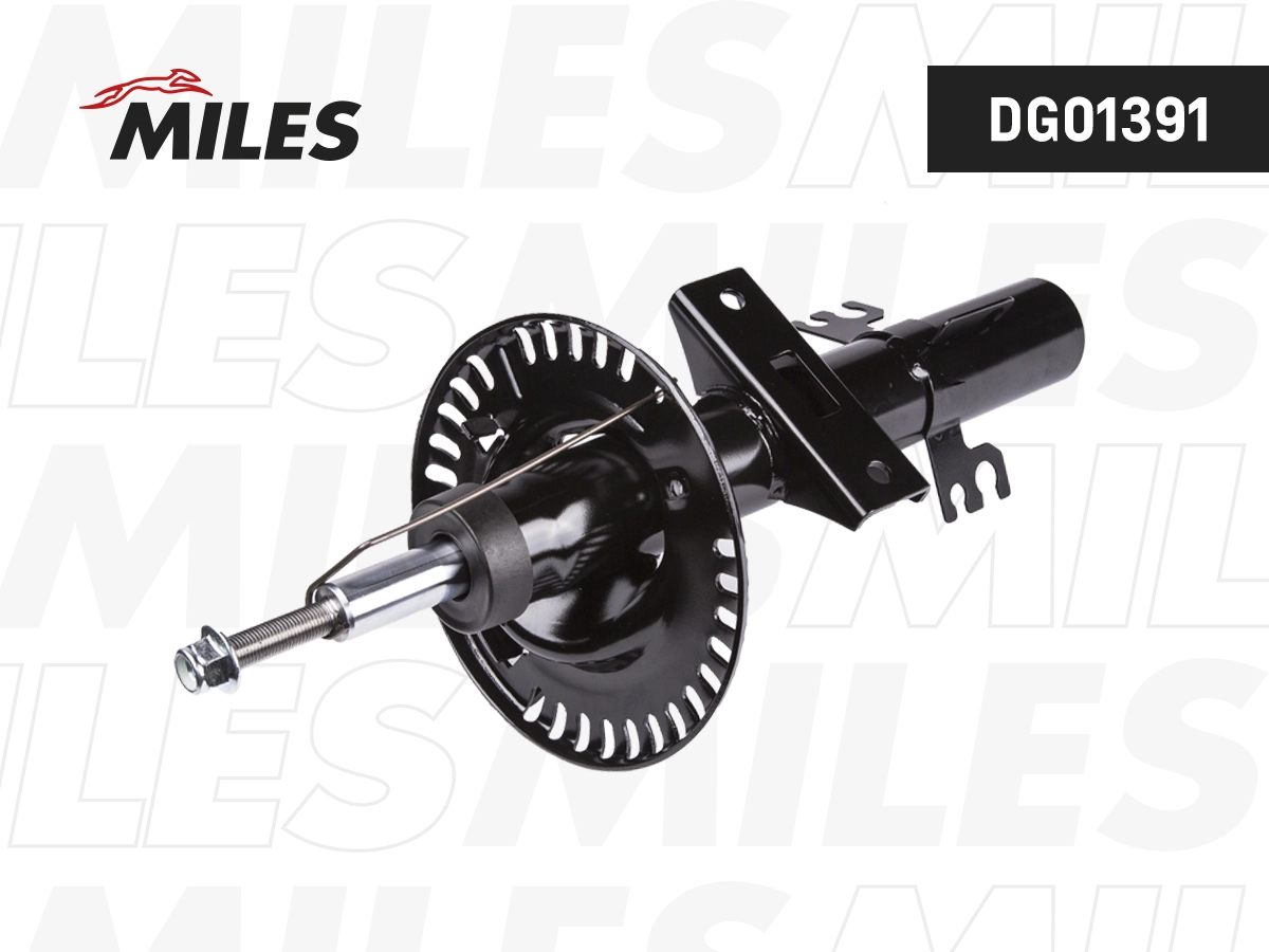 Amortisseur MILES DG01391