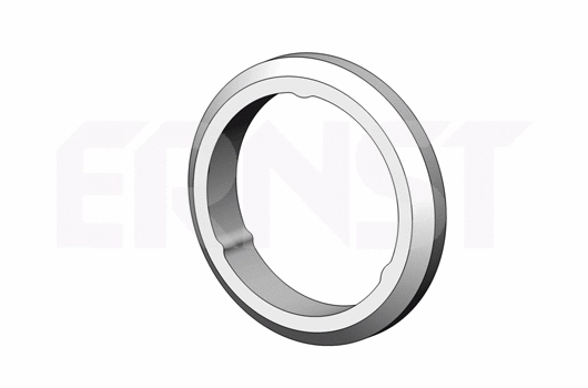 Bague d'étanchéité, tuyau d'échappement ERNST 498678