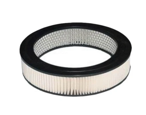 Filtre à air ACDelco Oceania ACA56