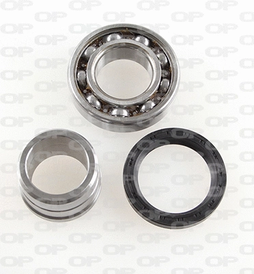 Kit de roulements de roue OPEN PARTS HBK5187.00