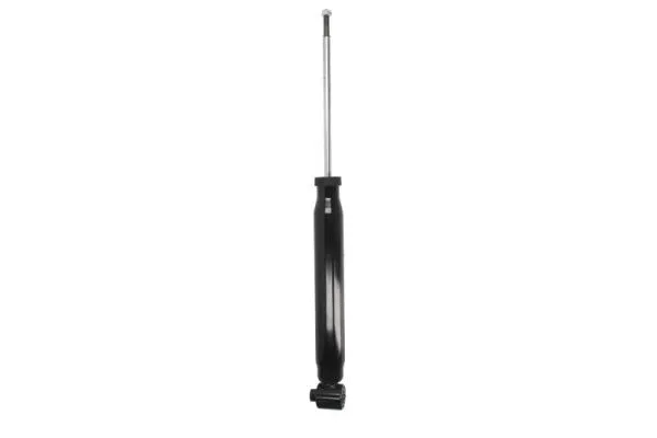 Amortisseur Magnum Technology AGW074MT