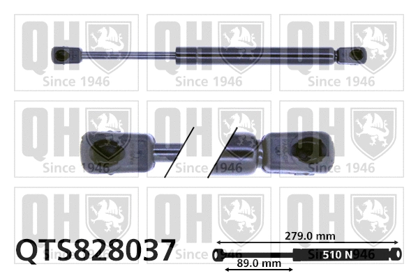 Vérin de hayon, de coffre QUINTON HAZELL QTS828037