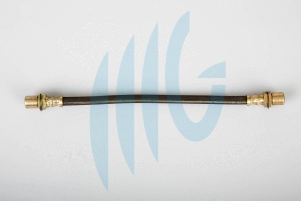 Flexible de frein RICAMBIFLEX GM 02561005