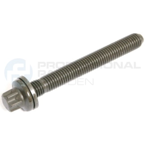 Vis de culasse Professional Parts 21438871