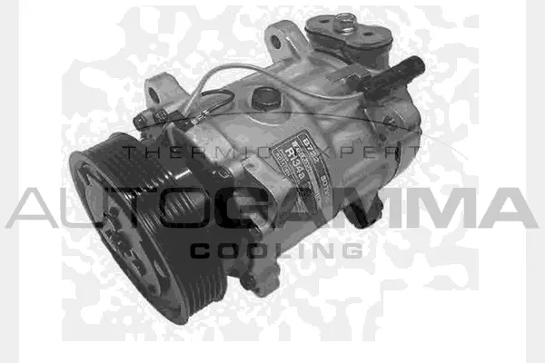 Compresseur, climatisation AUTOGAMMA 108026