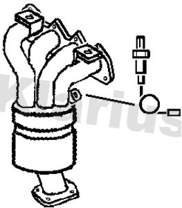 Catalyseur KLARIUS 322180