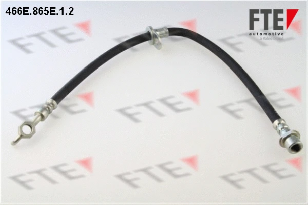 Flexible de frein FTE 9240852