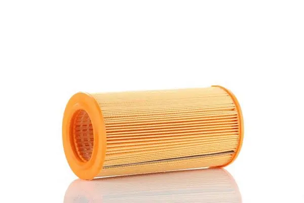 Filtre à air PZL Filters WA20250