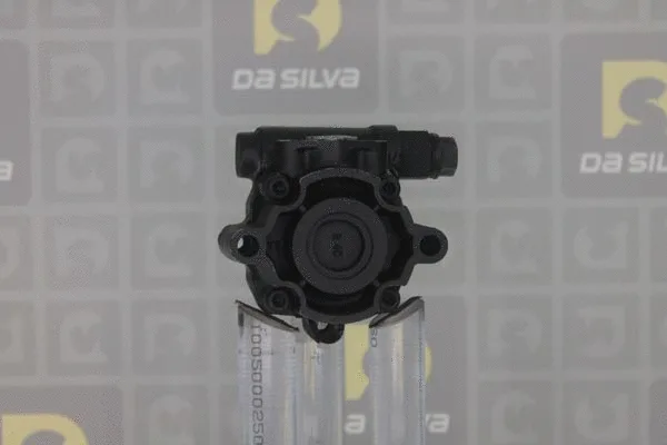 Pompe hydraulique, direction DA SILVA DP3057