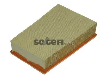 Filtre à air FRAM CA10654